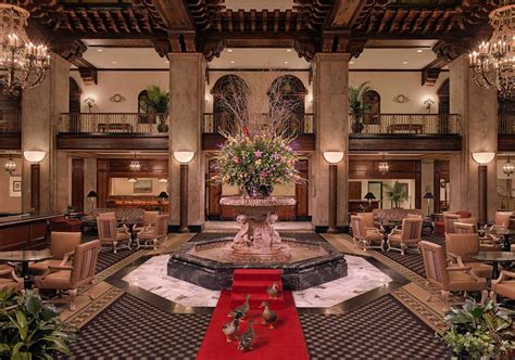 Peabody hotel ducks - May 12, 2016 · Published May 12, 2016. It's 11 a.m. at the four-star Peabody Hotel in downtown Memphis, Tennessee, and a sharply dressed man has just walked in with an entourage of ducks. They waddle ahead of him, making their way down the plush red carpet, past rows of adoring fans, as the brass of John Philip Sousa’s “King Cotton March” plays in the ... 